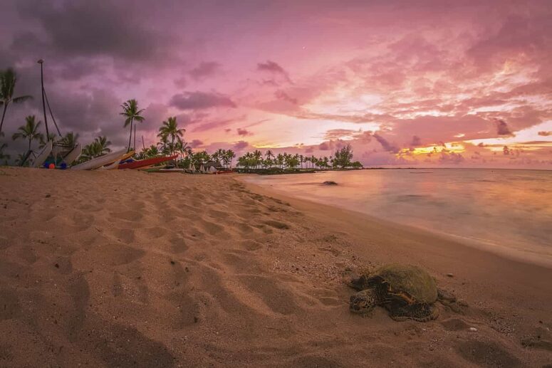 Kalandos tennivalók Hawaii nagy szigetén